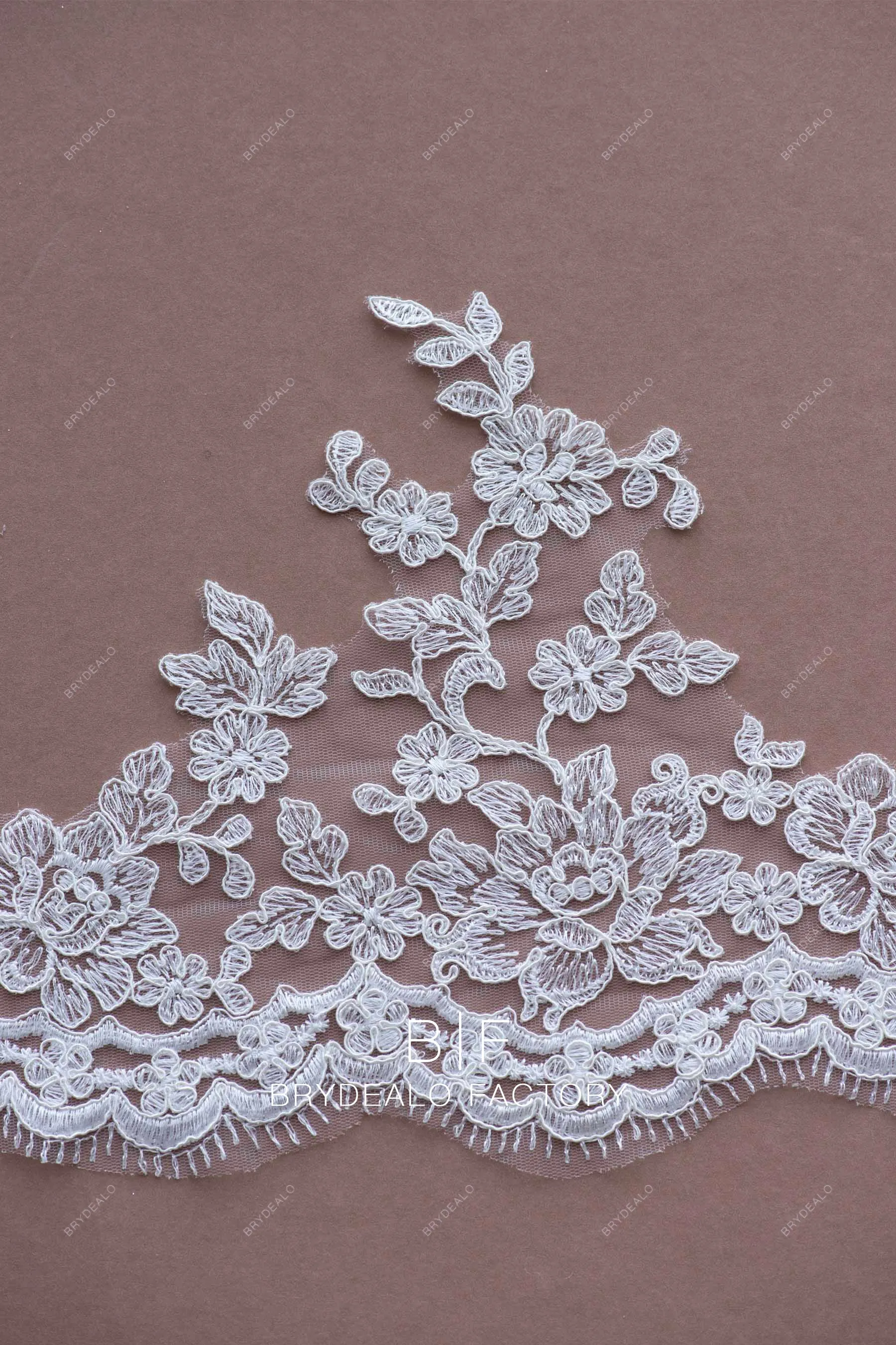 Eyelash Scalloped Single Border Corded Flower Lace Trim