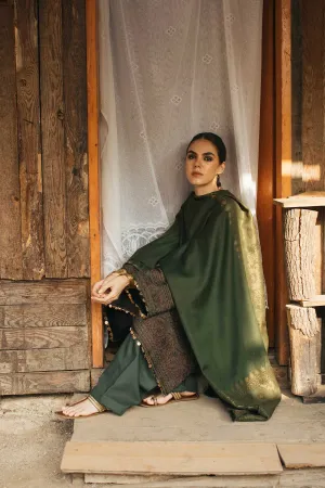 Zara Shahjahan Winter Collection (with Shawl) – Nazneen